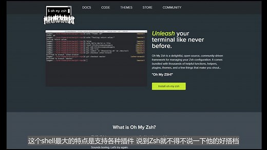 推荐一款让你感到惊艳的Linux Shell