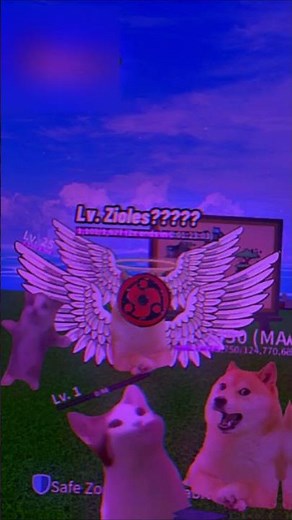 How Admin Treats His Players in Bloxfruit | Doge Plays Game #bloxfruits