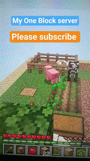 my new one block server..... #shorts #minecraft #gaming #server #support #subscribe #oneblock #new