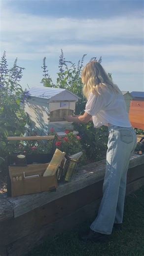 🐝 Want to learn more about bees and beekeeping? 🌿 Join us for our weekly Live beekeeping Q&A with Cedar, Wednesday at 10am AEST (Tuesday, 5pm PDT) Whether you're a seasoned beekeeper or just bee-curious, we’d love to see you there! Get your questions ready 🐝 💛 #flowhive #beeeducation #LiveQandA | Flow Hive