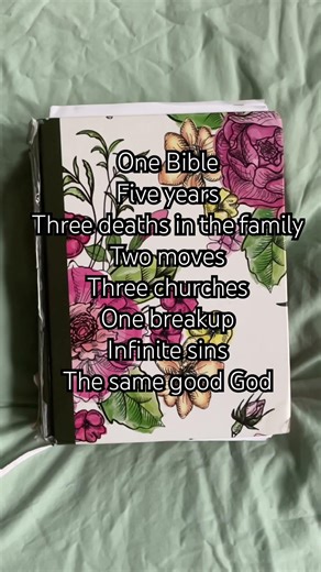 Deuteronomy 31:6 #bible #bibleverse #godisgood #christianshorts