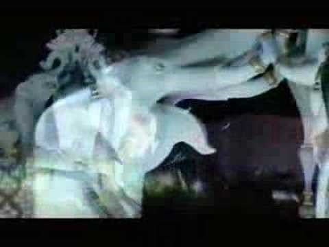 市原隼人 Hayato Ichihara- ワイルドライフ 第一話 予告篇