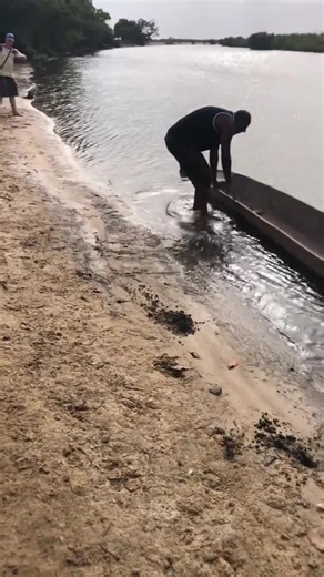 Nature-based activities in The Gambia Rivercamp