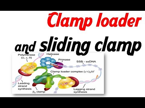 Clamp loader and sliding clamp