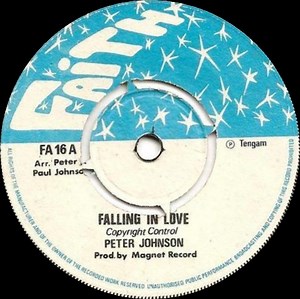Peter Johnson - Falling In Love / Love Version