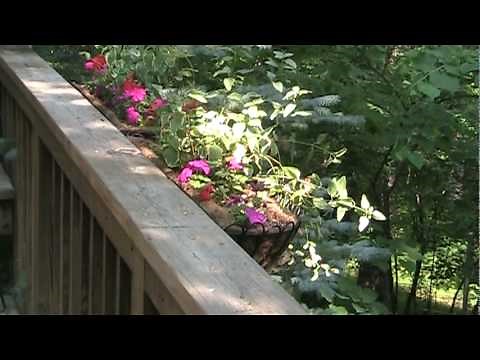 Canon FS200 / FS300 / FS400 outdoor test scenes