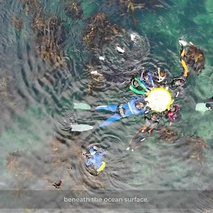 Plastic pollution is destroying our ocean at a rapid pace. #seathebiggerpicture's Shamier Magmoet shares his experience over the years. To find out how you can put an end to Plastic Pollution, download our new eBook for FREE! >> https://act.gp/2Yd1L0y #ProtectTheOceans #BreakFreeFromPlastic #SeaTheBiggerPicture | Greenpeace Africa