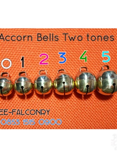 Ready stock 🔔 Acorn Bells Import ✔️ Suara nyaring & stabil ✔️ Material kuat ✔️ Standar falconry internasional Cocok untuk semua Bird of Prey. #FalconryShop #MGFalconry #BOPGear #falconryindonesia #onicesport