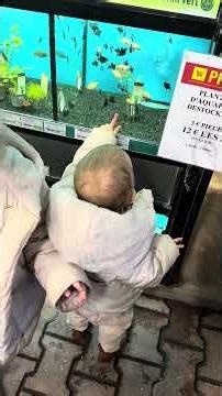 Athena and the animals 😍 1g: Manon.blf #momlife #animals #family #baby #fyp #pregnancy