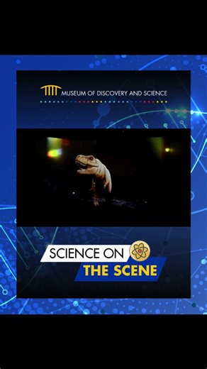 Museum of Discovery & Science on Instagram: "Science on the Scene with @wsvn ✨ MODS is making headlines and transforming how South Florida experiences science. Recently, the Museum unveiled the HoloTheater, the first custom-built holographic theater of its kind in the United States. Created in partnership with @base.xperiential, leaders in holographic entertainment, and @MacFreeFilms, pioneers in immersive filmmaking, the HoloTheater surrounds guests with light, sound and motion to make science 