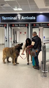 This pup’s excitement is contagious!🐕💕 | Animal Lovers