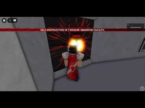 Just a video that is in my roblox video folder(check desc)