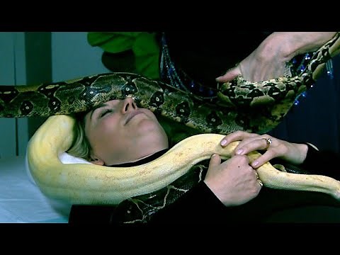 Snake Massage: Inside the Powerful 'Healing' of the Celebrity Relaxation Technique (Exclusive)