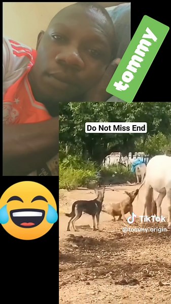 #type1diabetes #type1diabetes #greenscreen #greenscreenvideo #type1diabetes #greenscreenvideo #greenscreen #type1diabetes #greenscreenvideo #greenscreen #type1diabetes #greenscreenvideo #type1diabetes #greenscreenvideo #trending #ugandatiktok #uganda #greenscreen #ugandatiktok #trending #greenscreenvideo #greenscreen #type1diabetes #greenscreenvideo #greenscreen