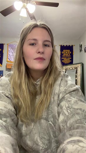 Essential Screen Protectors for Every Phone User