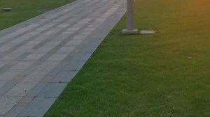 hpi octane hpi5.9汽油改5车发动机，23CC发动机爽玩。