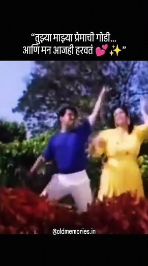 तुझ्या माझ्या प्रेमाची गोडी | Tujhya Majhya Premachi Godi | Zapatlela (1993) | Marathi Romantic Song