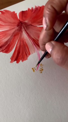 A quick hibiscus practice