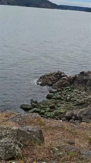 trip to Lopez island