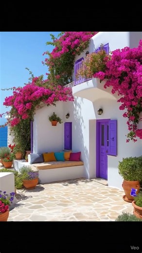 Bougainvillea Adorned Greek Courtyard#travel #relaxing #sea #flowers #courtyard #summer #viralvideo