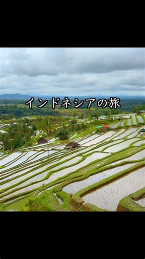 🇮🇩インドネシアの旅！14日目part3！