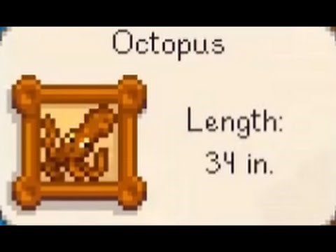 Octopus: Stardew Valley Tips and Tricks