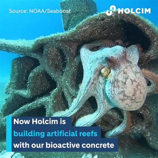25 reactions | 視 How can innovative building materials help underwater ecosystems? 視 Bioactive concrete is porous – which makes it an ideal home for marine life. 視 It is helping build artificial reefs, with promising results. #BuildingProgress #Sustainability #Innovation #BuildingGreener #BuildingSmarter #BuildingForAll | Holcim | Facebook