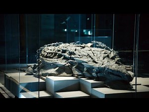 Excavation of Amazing Dinosaur Fossil Goes Horribly Wrong