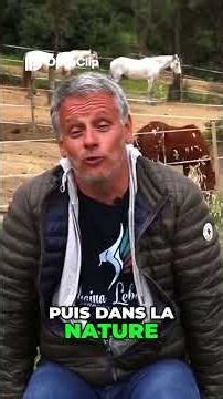 Nous pouvons communiquer avec tous les Animaux sans exception 🐮🐴🐰🐷🐹🐳