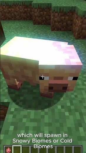 Minecraft 1.22 Just Added These AMAZING New Pig Types
