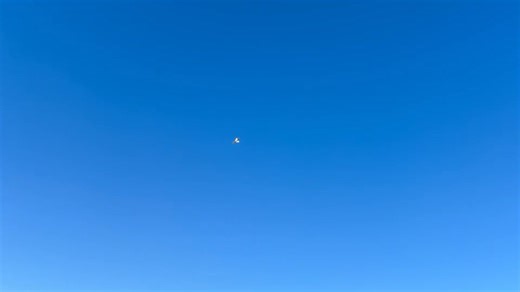 OH, OH Looks like Shane took Dad's keys to the T-One Eurofighter to see what it can do!! Powered by 2x Kingtech K86G4 turbines, AR SF20 & FRSKY Pro. Can't wait to see you what you can make it do after Dad lets you have more than 1 turn at the radio. | Pacific RC Jets