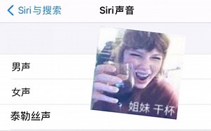 【Taylor Swift】你的iPhone的Siri里有泰勒丝声吗？我有