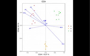 R语言保姆级教程之CCA