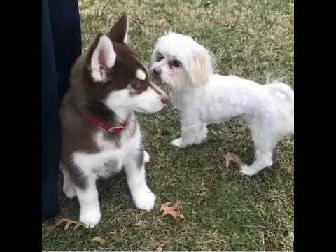 Minecraft Xbox One Edition