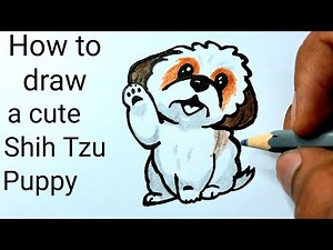 How to draw a Cute Shih Tzu Puppy Easy