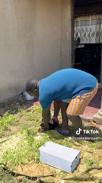 Innovative Transparent Blanket for Ultimate Comfort