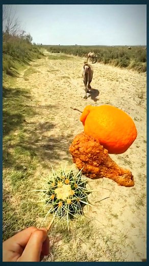 wow Tastes different | Ean Sam