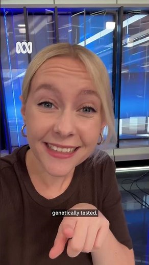 DNA testing dog poop to fine owners | ABC News