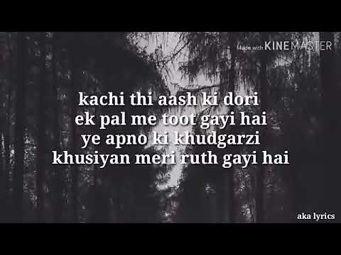 Koi puche mere Dil se full lyrics song| lyrics video