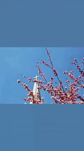 Holy Trinity Episcopal Church, Enfield, CT. on Reels