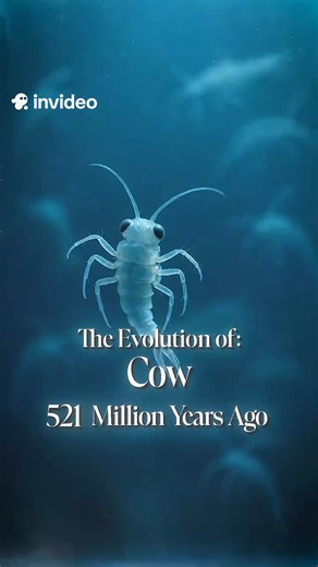Evolution ai on Instagram: "The Evolution of Cow cow nature biology history evolution Primal Mor"