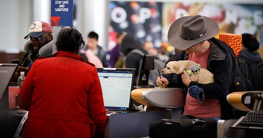Bringing a dog into the US? Here are the new CDC rules
