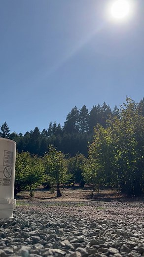 8.2K views · 33 reactions | Explosive Ordnance Disposal (EOD) Airmen with the 142nd Civil Engineer Squadron were called out to assist with a 40mm artillery shell found in Yamhill, OR last week. In situations where the device is unable to be transported safely, it is detonated in a controlled manner on-site--that's what this video captures. Our EOD Airmen respond to calls like this throughout the state of Oregon on a regular basis. | 142nd Wing | Facebook