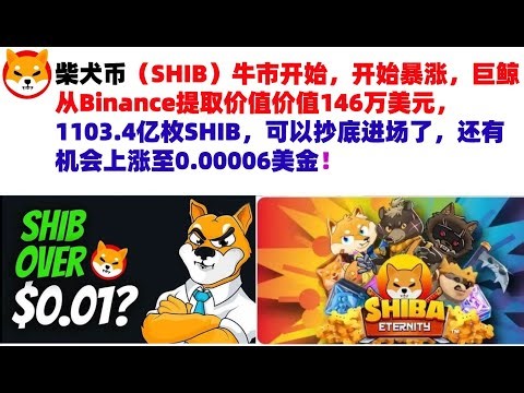 柴犬币（SHIB）牛市开始，开始暴涨，巨鲸从Binance提取价值价值146万美元，1103.4亿枚SHIB，可以抄底进场了，会涨到0.1美金吗？#shib币#屎币行情分析