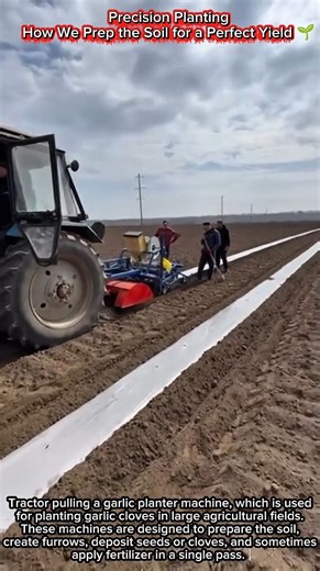 Precision Planting | How We Prep the Soil for a Perfect Yield 🌱
