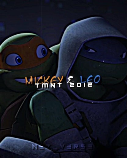 Mikey & Leo Vs Donnie & Raph | Tmnt 2012