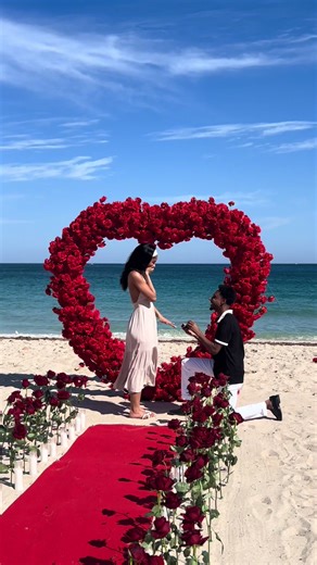 Surprise Engagement During Sunday Brunch