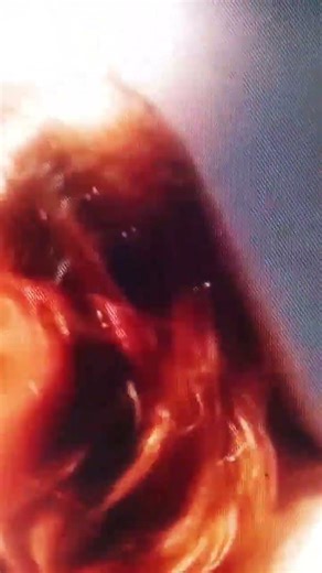 The Time Wraith's Pursuit? The Flash 🔥