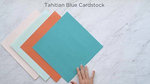 Line up for the Cardstock Buffet! May 18-26 or while supplies last, buy 6 limited-edition shimmer or solid cardstock packs & earn Lily Pad Cardstock FREE! | Creative Memories