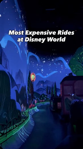 These are the most expensive rides in Walt Disney World! Which one are you the most surprised to see on this list? | That Magical Fam